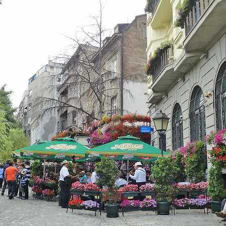 Sensitive Belgrade